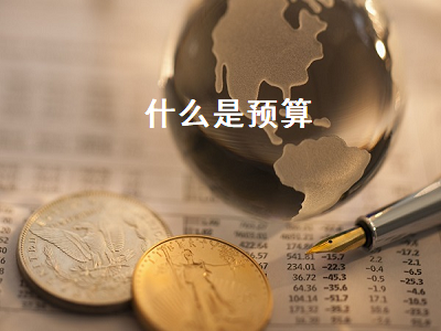 什么是预算 什么是预算管理